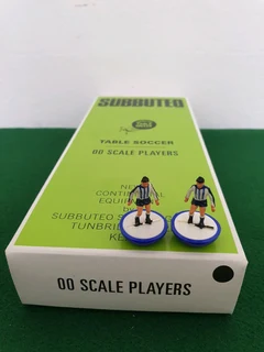 Subbuteo Classic Heavyweight Team Ref 51 Sheffield Wednesday Brighton Repaint