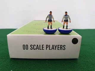 Subbuteo Classic Heavyweight Team Ref 51 Sheffield Wednesday Brighton Repaint