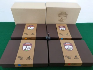 Subbuteo Complete Mintys Legends Set