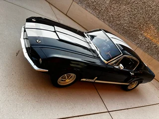 Ford Mustang Shelby GT500 Scale 1:8