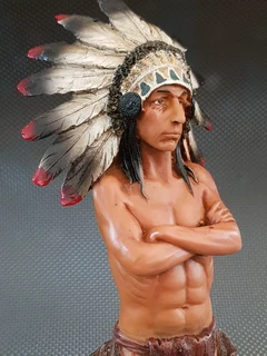 Native American Indian Chief.