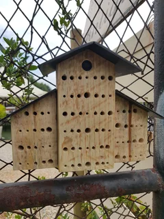 Bee Hotel