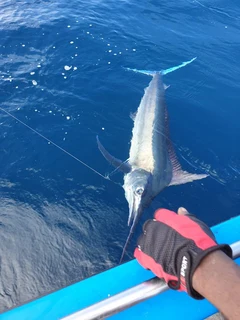 Fishing Charters Durban