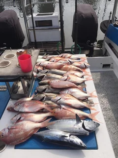 Fishing Charters Durban