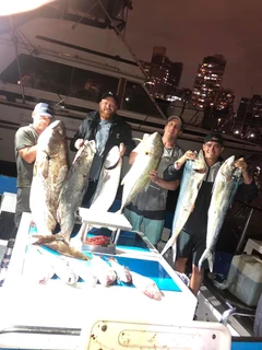 Fishing Charters Durban
