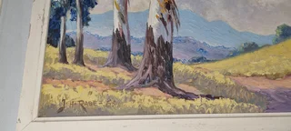 JH Rabe: Letaba District Oil