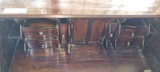 Cape Stinkwood Bureau