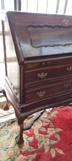 Cape Stinkwood Bureau