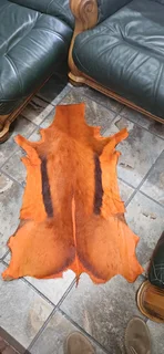 2 x Dyed Springbok Hides EACH