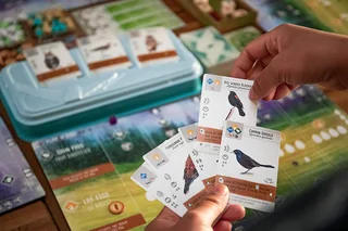 Wingspan Board Game - Revised Edition (New)