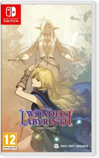 Nintendo Switch Record of Lodoss War: Deedlit in Wonder Labyrinth (New)