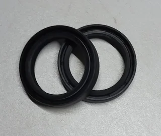 MOTORCYCLE FORK SEALS