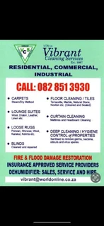 Vibrant Cleaning Services