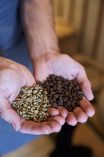 Small Coffee Roastery and Bakery With 3 x coffee shops for sale in the Eastern Cape.