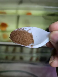 Brine shrimp eggs for sale