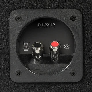 Rockford Fosgate R1 12inch Subwoofers