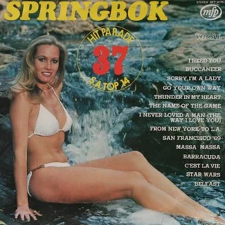 Popular Springbok Hit Parade songs from the years 1970 to 1991 in HQ sound on USB Memory stick!