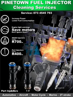 Injector service - Injector servicing   Petrol ONLY !
