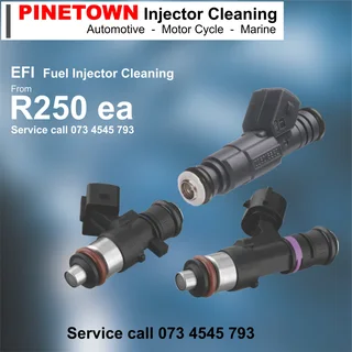EFI Injectors Cleaning
