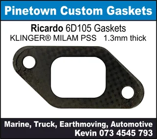 Ricardo 6D105 Gaskets