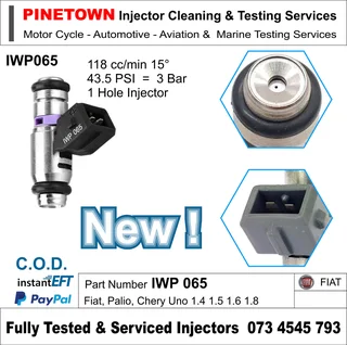 OEM Fuel Injector Nozzle IWP-065 Fait