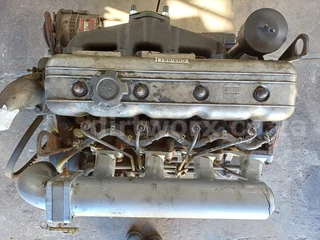 Quanchai QC495G Engine