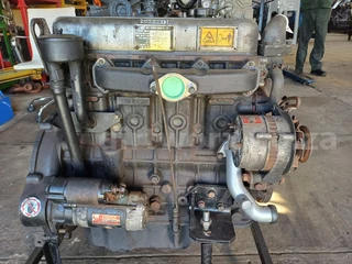 Quanchai QC495G Engine