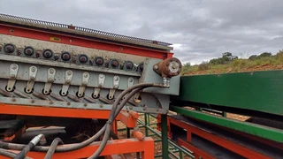 Red Ant Onion Topper