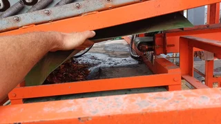 Red Ant Onion Topper