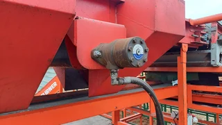 Red Ant Onion Topper