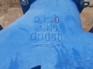 Ball Check Valve PN16