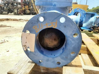 Ball Check Valve PN16