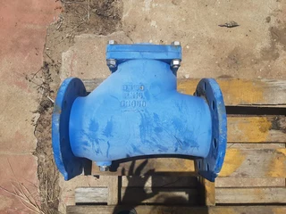 Ball Check Valve PN16