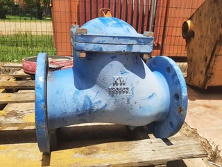 Ball Check Valve PN16