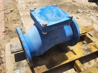 Ball Check Valve PN16