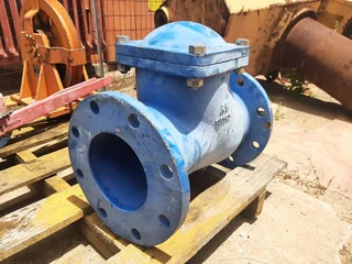 Ball Check Valve PN16