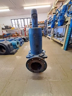 Leser Safety Relief Valve