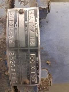 Leser Safety Relief Valve