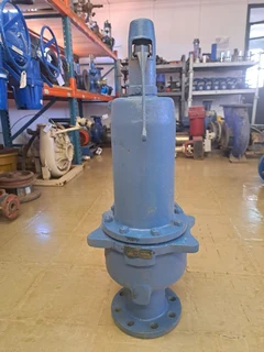 Leser Safety Relief Valve