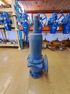 Leser Safety Relief Valve