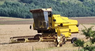New Holland 8040 Mielie Koring Stroper Combine Harvester