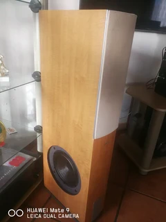 Absolutely Beautiful Powerful Teac Speakers