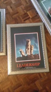 6X BEAUTIFUL NATURE THEMED PICTURE WALL FRAMES FOR ONLY R3000