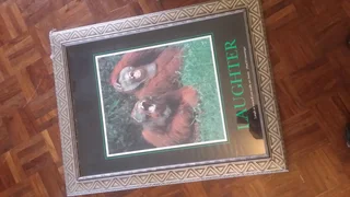 6X BEAUTIFUL NATURE THEMED PICTURE WALL FRAMES FOR ONLY R3000