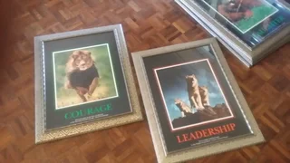 6X BEAUTIFUL NATURE THEMED PICTURE WALL FRAMES FOR ONLY R3000
