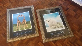 6X BEAUTIFUL NATURE THEMED PICTURE WALL FRAMES FOR ONLY R3000