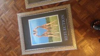 6X BEAUTIFUL NATURE THEMED PICTURE WALL FRAMES FOR ONLY R3000