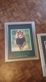 6x Beautiful Nature Themed Picture Wall Frames For Only R3000