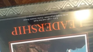 6X BEAUTIFUL NATURE THEMED PICTURE WALL FRAMES FOR ONLY R3000