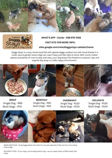 Dog Lodge & Pet Sitting